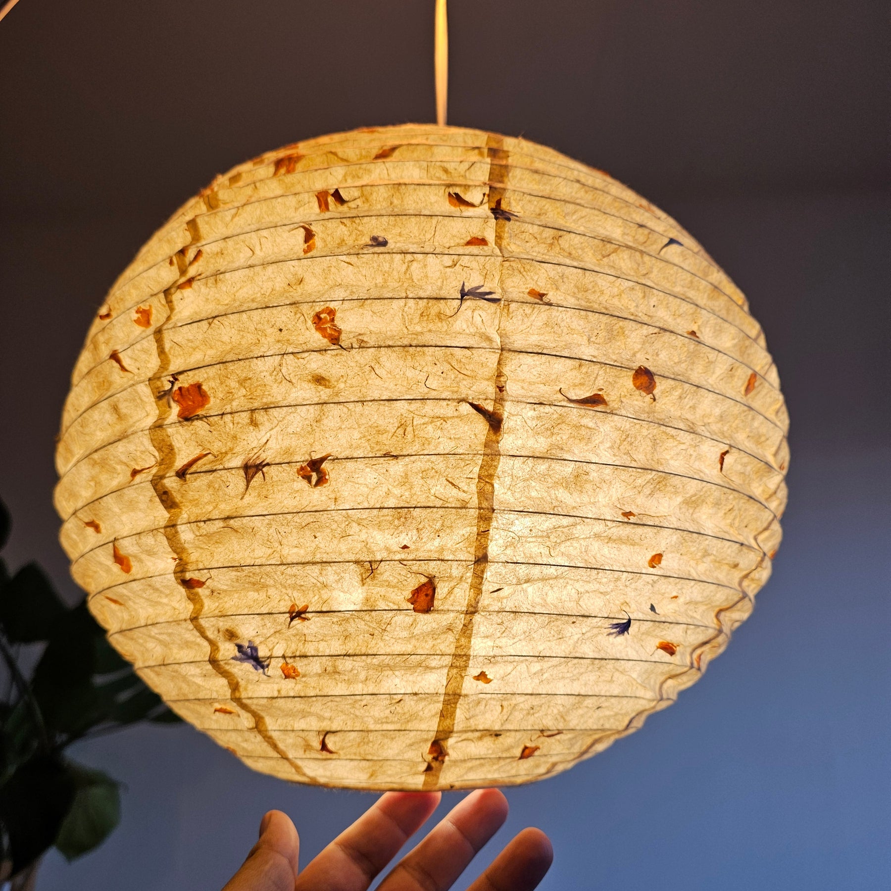 Shop Handmade Paper Lanterns Online — Direct from Artisans