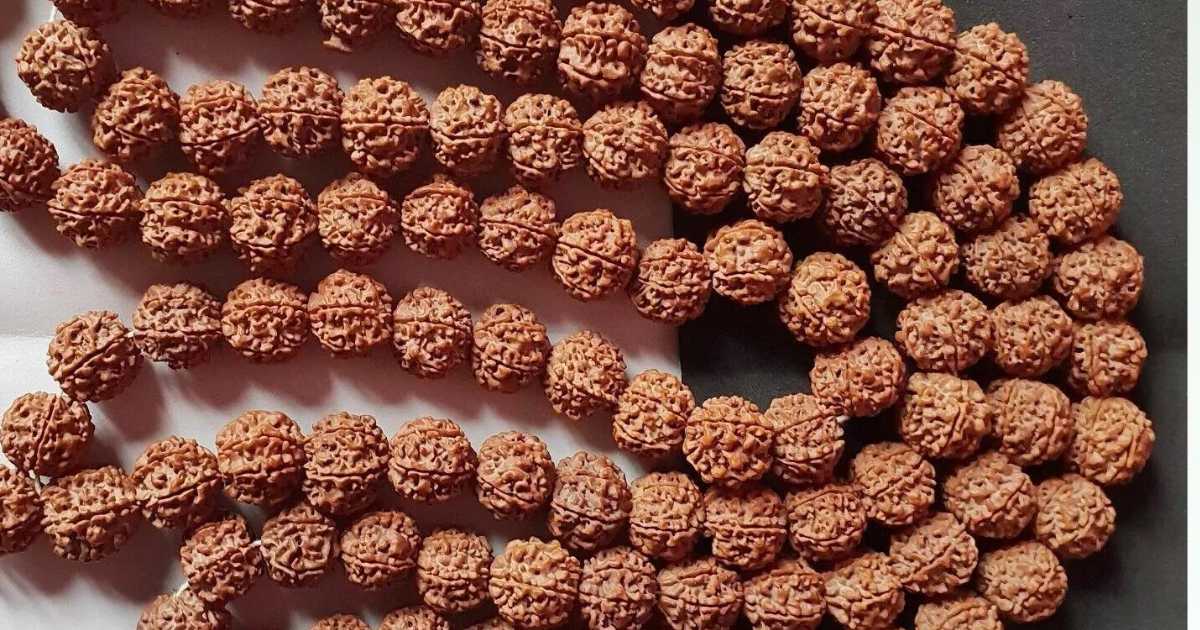 Rudraksha Beads Nepal