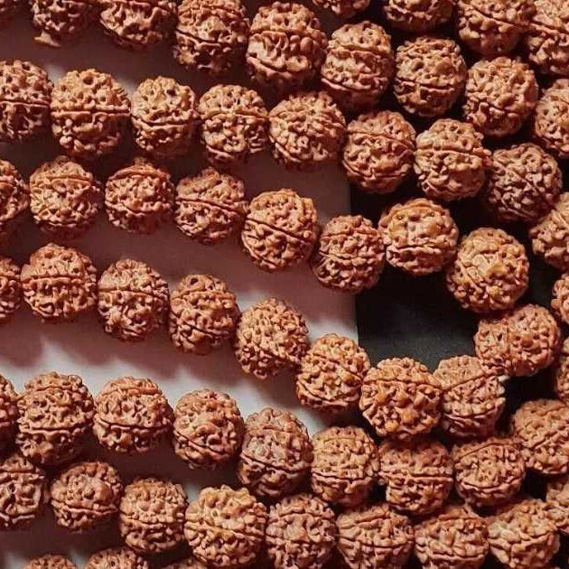 Rudraksha Beads Nepal