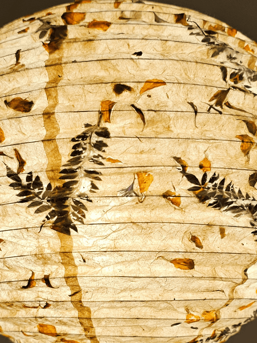 Paper Lamp shade  Fern Marigold Petal Mixed closed view